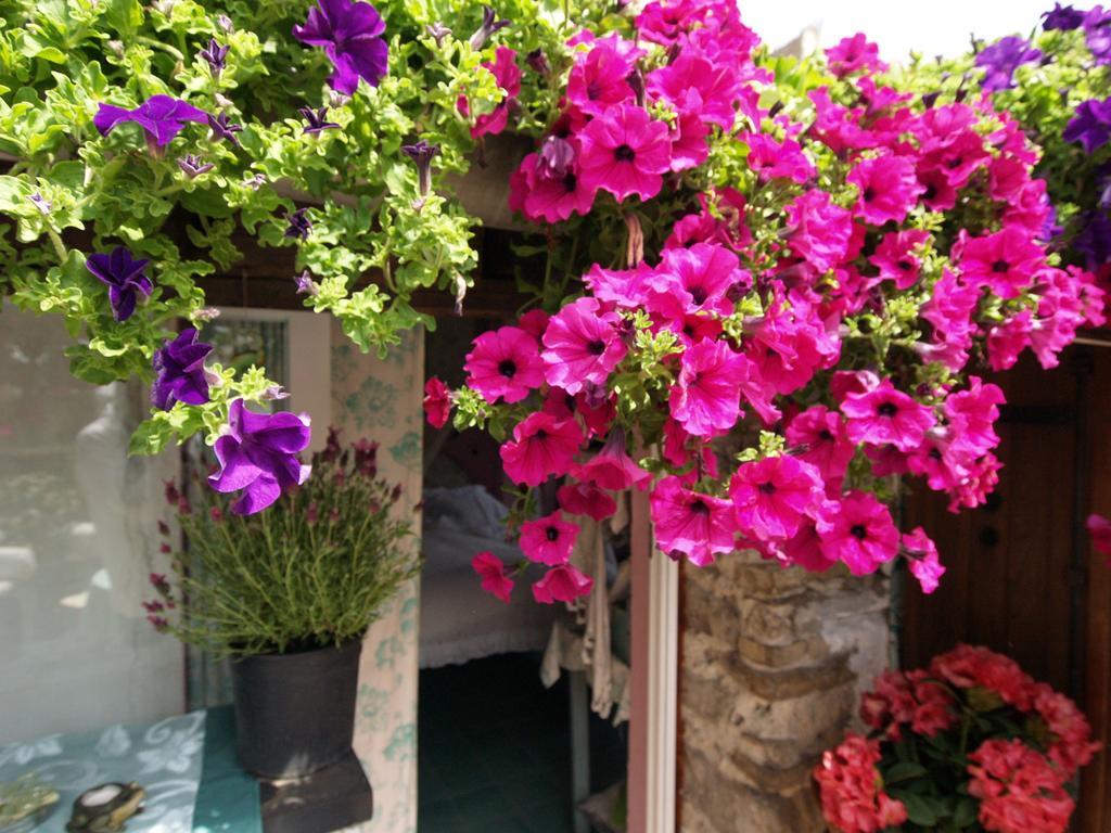 Le Petit Chateau Bed and Breakfast Dolceacqua Exterior foto